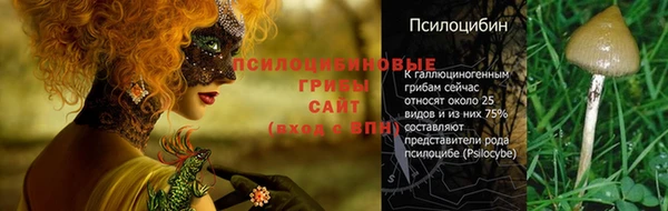 не бодяженный Заволжск