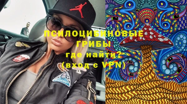хмурый Заводоуковск