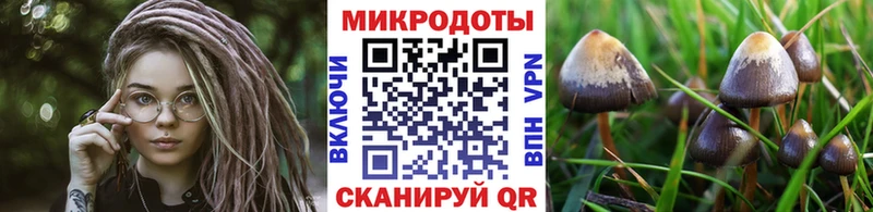 Купить закладки  Хвалынск  Псилоцибиновые грибы Psilocybe 